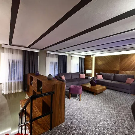 Hotel Montania Special Class Mudanya