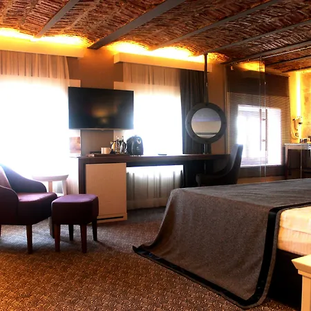 Montania Special Class 무단야