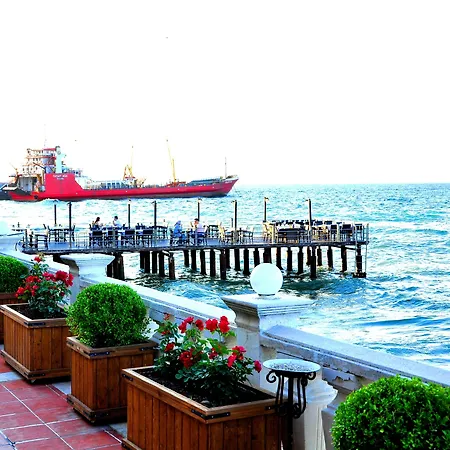 Montania Special Class 4* 무단야