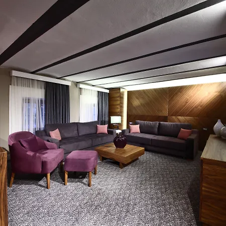 فندق مونتانيا سبيشيال كلاس 4*