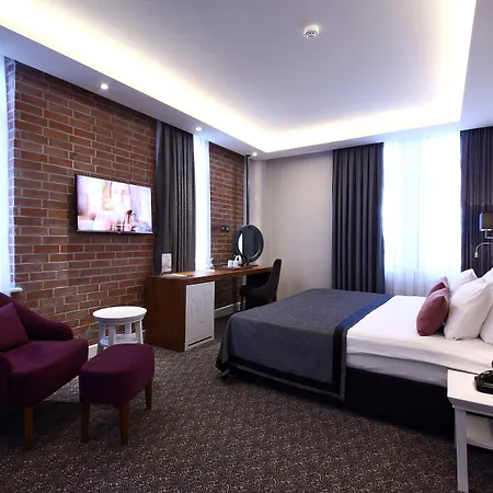 فندق مونتانيا سبيشيال كلاس